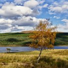 Loch Coulin
